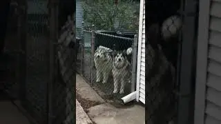 Двое из ларца🥰