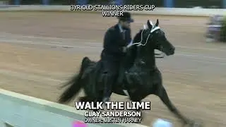 WALK THE LIME - Walking For Cancer