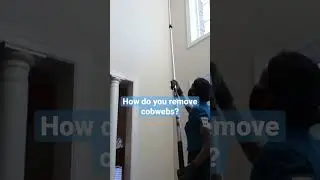 How Do You Remove Cobwebs? Pro Cleaner Tip