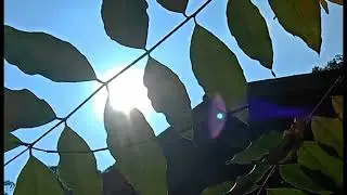 JALAN BARENG BESTI,MENIKMATI ALAM...