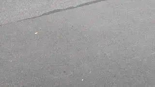 A moist sock falling