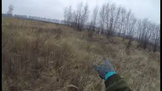 охота на ушастого
