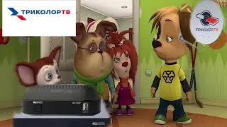 Барбоскины зачитали про Триколор ТВ