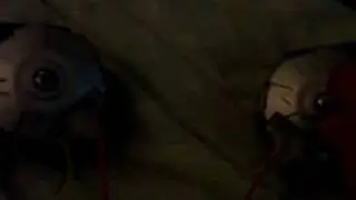 Magnum Horns