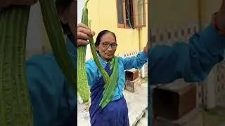 Ab aayi turai ki bariiii #vegetables @reenahyankinagvlog5647