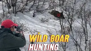 SEZON SONUNA DOĞRU MÜKEMMEL BİR DOMUZ AVI / WİLD BOAR HUNTİNG