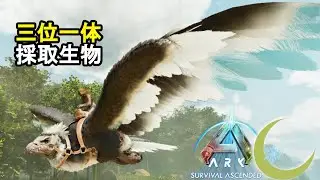 #5【ASA】三位一体(アルゲンタヴィス,ドエディクルス,アンキロサウルス)採取生物。最高画質始めました。【PC版公式PVE：ARK: Survival Ascended】