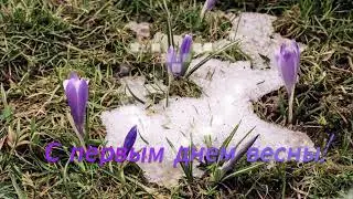 Первый день весны