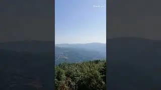 Отправить