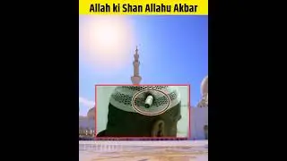 Allahu Akbar Palestine Old Man Viral Pic #shorts