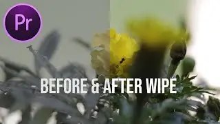 How To Do Before & After Slider In Premiere Pro CC | Wipe Transition | Easy + Quick Method