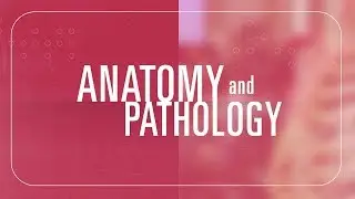 Anatomy - Texas Summer