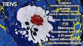 Сезон 