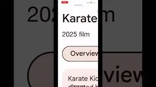New karate kid 2025 #karatekids #crazy