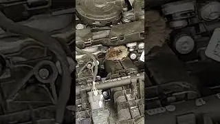 Customer states Tis the season to check your car‼️Rodent activity #shorts