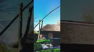 Розкіш травневого квітування