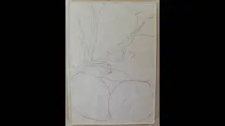 Акварель. Лилии поэтапно.