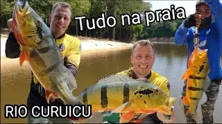 Os gigantes ficam na praia Tucunaré Açu Monstro Rio Curiucu Roraima