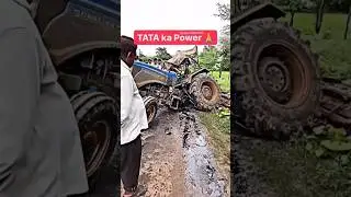 Tata motors wild quality 😱 #shortvideos #shortsviral #trendingshorts #viralvideo #shorts #car