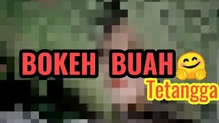VIDEO BOKEH BUAH TETANGGA 🤭