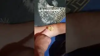 подпишись на мой дзен, пожалуйста) здесь долго грузит. Мои джуджалярим)