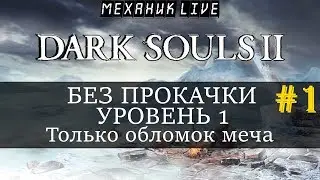 🤖 DARK SOULS 2 [PS4 #1] ►  БЕЗ ПРОКАЧКИ [УРОВЕНЬ 1] ► ТОЛЬКО ОБЛОМОК МЕЧА