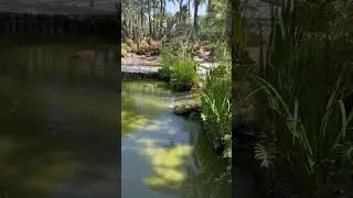 Райское местечко #испания #shortvideo #shortsvideo #shorts #nature