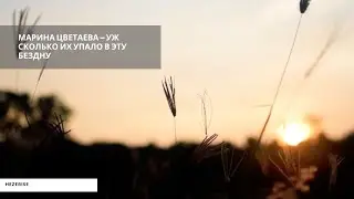 Марина Цветаева — Уж сколько их упало в эту бездну