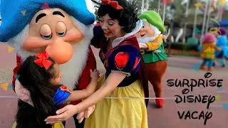 DISNEY WORLD Dream Come True: MAGIC KINGDOM | Day 4