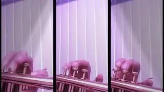 Atención, Estoy preparando este tutorial!