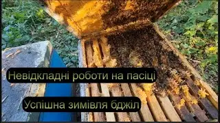 ЯК ЦЕ-УСПІШНА ЗИМІВЛЯ БДЖІЛ