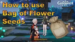Genshin Impact: How to use Bag of Flower Seeds + Second Blooming Achievement