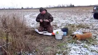 За лисицей | Вощеная земля | Нежданный Волк! |