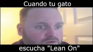 Cuando tu gato escucha 