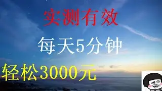 2023年最新赚钱上岸项目分享 手把手教你如何快速赚钱 日赚2000元实战分享 毫无风险