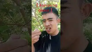 ❗fresh guwava❗