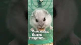 Умерла…скорбим