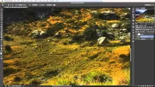 Photoshop Tutorial: How to use the patch tool to remove objects from your photos