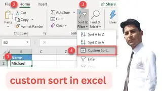 #35 custom sort in excel by vista coding