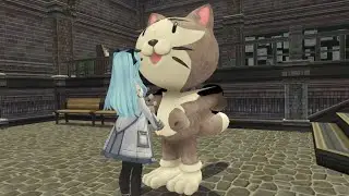 Mishy Vore