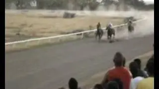 Horse racing in Nevis 22 - OBAMA wins!!