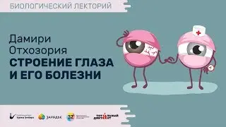 Биолекторий | Строение глаза и его болезни – Дамири Отхозория