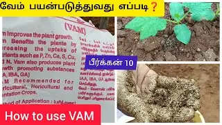 வேம் பயன்படுத்துவது எப்படி How to use VAM