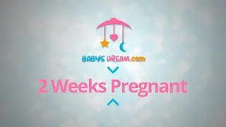 2 Weeks Pregnant | pregnancy signs and symptoms