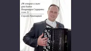 28 этюдов и пьес - №27-28