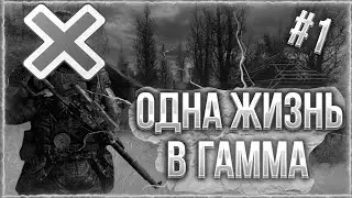 одна жизнь-все
