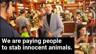 Disrupt Speciesism!