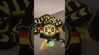 BVB