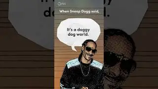 What is an Eggcorn???