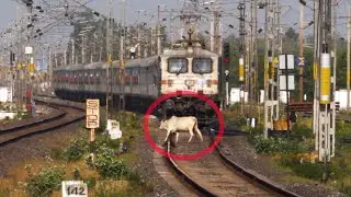 #video दिल्ली To पटना रेलवे स्टेशन #new JanShatabdi express India railway मालगाड़ियां स्पीड ट्रेन
